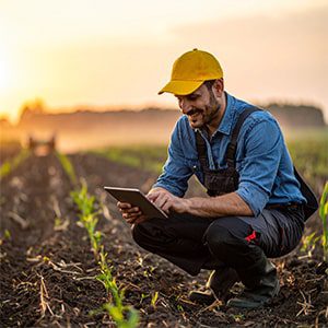 Supply Chain Tracking