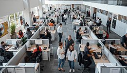 Equipment Rental Companies