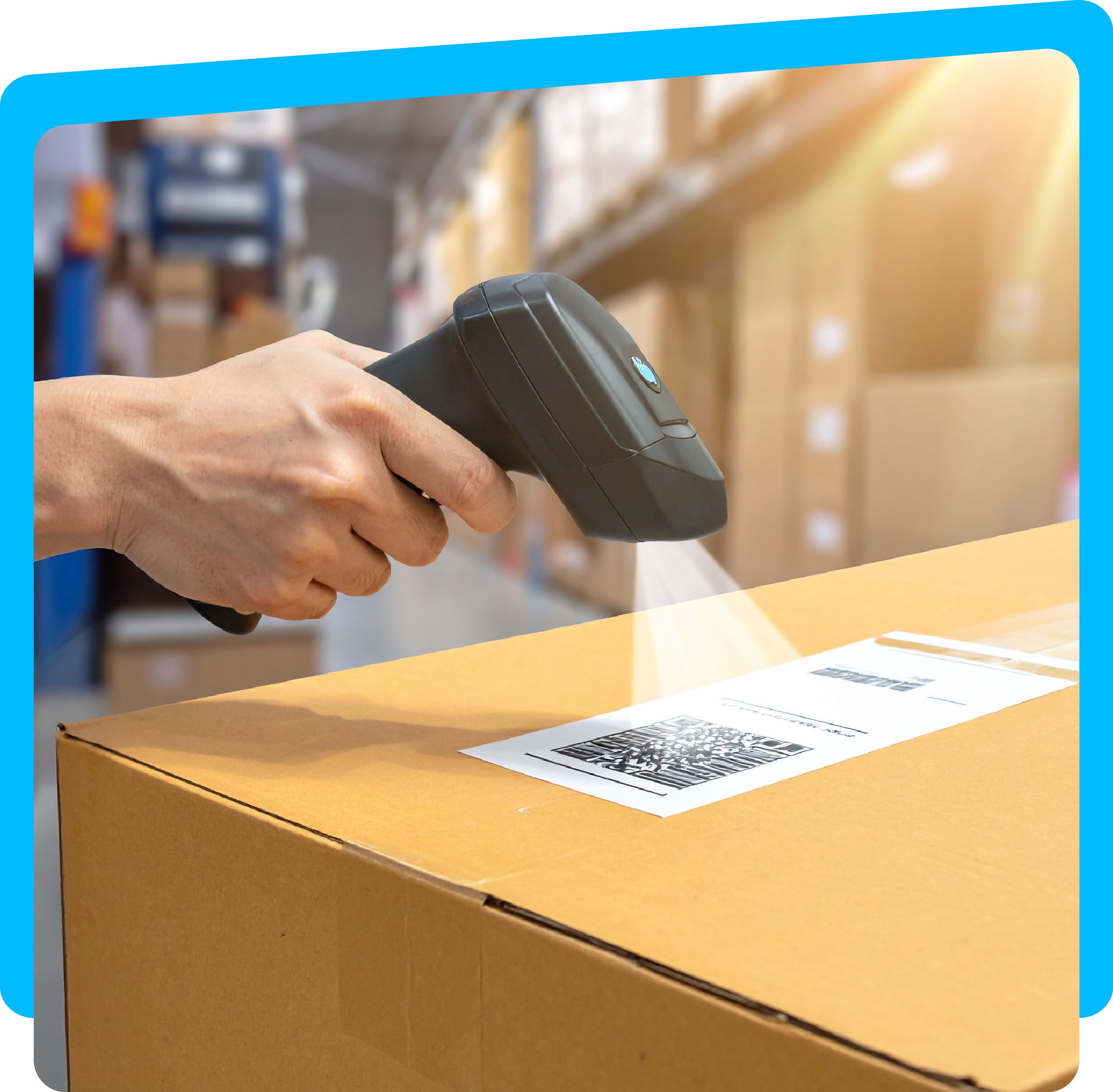 Project & Rental Bookings